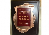 台湾世界华人太极拳交流会纪念章